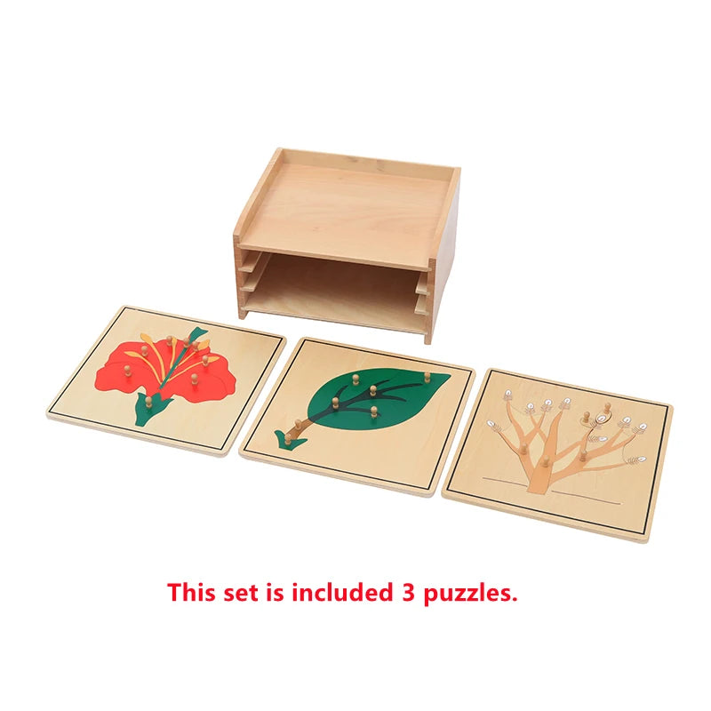 🌱 Montessori Botany Puzzle Set – Wooden Leaf, Tree, Flower, Root & Seed Learning Boards
