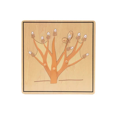 🌱 Montessori Botany Puzzle Set – Wooden Leaf, Tree, Flower, Root & Seed Learning Boards