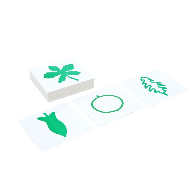 🌱 Montessori Botany Puzzle Set – Wooden Leaf, Tree, Flower, Root & Seed Learning Boards