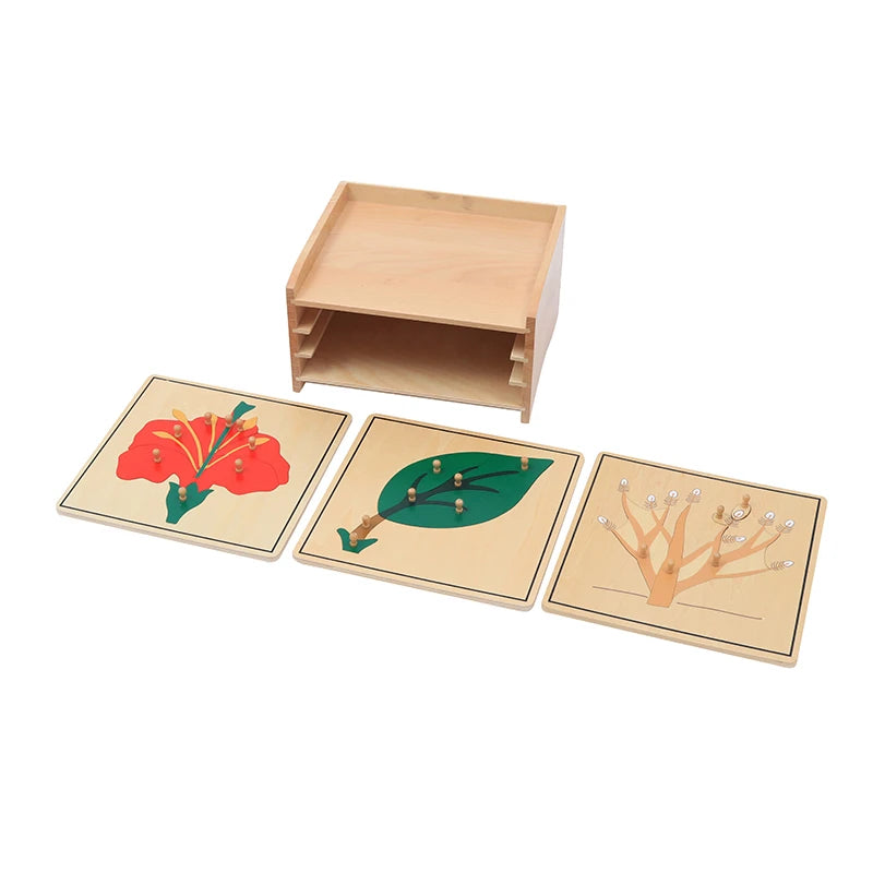 🌱 Montessori Botany Puzzle Set – Wooden Leaf, Tree, Flower, Root & Seed Learning Boards