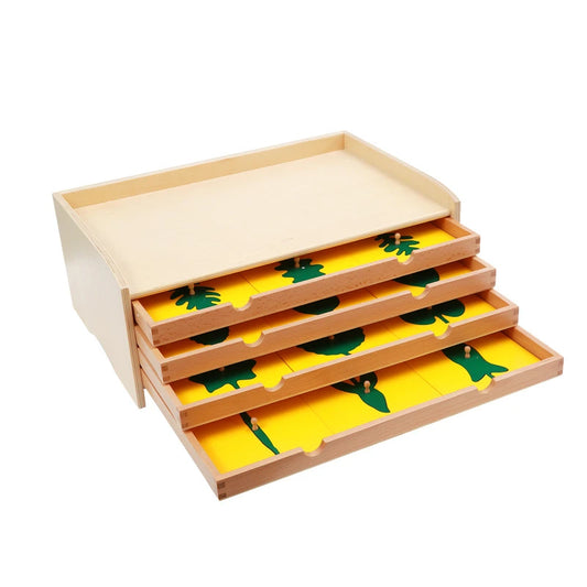 🌱 Montessori Botany Puzzle Set – Wooden Leaf, Tree, Flower, Root & Seed Learning Boards