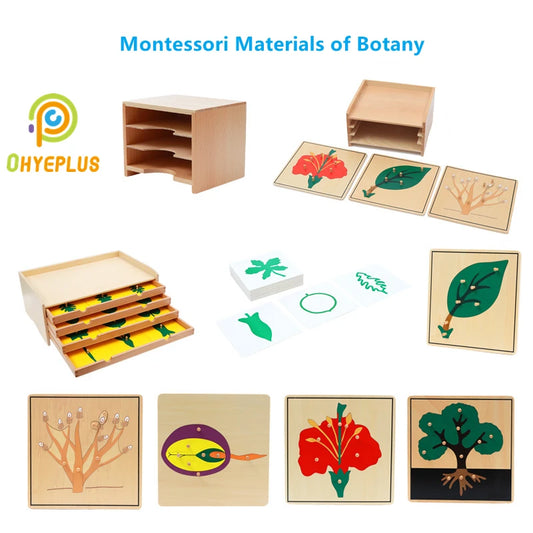 🌱 Montessori Botany Puzzle Set – Wooden Leaf, Tree, Flower, Root & Seed Learning Boards