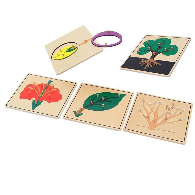 🌱 Montessori Botany Puzzle Set – Wooden Leaf, Tree, Flower, Root & Seed Learning Boards
